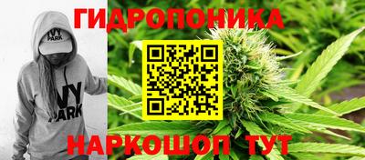 не бодяженный Жуковский